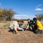 Business 27 image PROTEA BY MARRIOTT ZEBULA LODGE Za Hotel in Limpopo ZAF