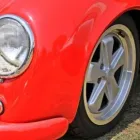 Business 13 image QUANTUM PHOTOGRAPHY Wildlife in Pretoria GP