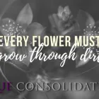 Business 1 image QUE CONSOLIDATED Pietermaritzburg in Pietermaritzburg KZN