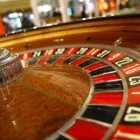 Maatskappy 2 beeld RHINO SHUTTLES Sun City Transfers in Randburg GP