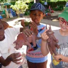 Maatskappy 5 beeld ROOSEVELT EXTENSION NURSERY SCHOOL Nursery School in Johannesburg GP