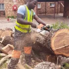 Maatskappy 4 beeld SANDTON MORNINGSIDE TREE FELLING Tree Stump Removal in Sandton GP