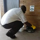 Maatskappy 7 beeld SERVICE MASTER DURBAN Woodborer in Durban KZN
