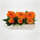 Maatskappy 1 beeld SHELLY FLORIST & GIFTS Flower Arrangement in Margate ZAF