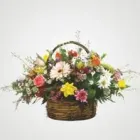 Maatskappy 4 beeld SHELLY FLORIST & GIFTS Flower Arrangement in Margate ZAF