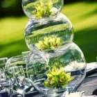 Maatskappy 5 beeld SHUBONE EVENTS Wedding Planner in Johannesburg GP