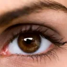 Business 5 image SINOVILLE OPTOMETRISTS Sunglasses in Pretoria GP