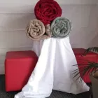 Maatskappy 3 beeld TASNEENS LINEN Towels in Retreat WC
