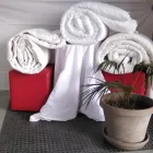 Maatskappy 9 beeld TASNEENS LINEN Towels in Retreat WC