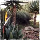 Business 3 image THE CERFONTAINE GROUP (PTY) LTD Water Features in Pretoria GP