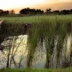 Maatskappy 3 beeld THE LAKES BOUTIQUE LODGE Wireless Internet in Pretoria GP