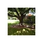 Maatskappy 5 beeld THE MAPLE VILLAGE GUEST LODGE B&B Wifi in Edenvale GP