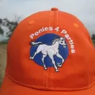 Business 3 image THE PARTY MAMMAS Work Functions in Pietermaritzburg KZN