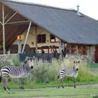 Business 3 image THULA GAME LODGE Tiere in Kroonstad FS