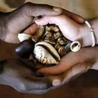 Business 1 image TRADITIONAL HEALER IN BOKSBURG Traditional Medicine in Boksburg GP