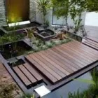 Maatskappy 3 beeld TRANQUILITY LANDSCAPES Tree Felling in Nelspruit MP