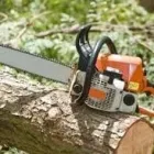 Maatskappy 3 beeld TREE FELLERS RANDBURG - CAMMY TREE FELLING Tree Felling Or Stump Removal in Randburg GP