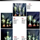 Maatskappy 1 beeld TROPHIES,BADGES,MEDALS,ENGRAVING Trophies in Boksburg GP