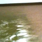 Maatskappy 3 beeld TURBOVAC CARPET SERVICES West Rand in Springs GP