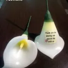 Maatskappy 15 beeld ULTIMATE CANDLES White & Colour Candles in Durban KZN