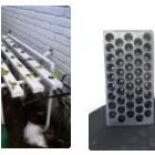 Business 2 image WHITE ROCK TRADING Rockwool in Johannesburg GP