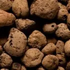 Business 6 image WHITE ROCK TRADING Rockwool in Johannesburg GP