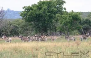 Maatskappy 3 beeld IVEMVANE Self-Catering Accommodation in Waterberg in Vaalwater LP