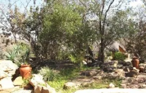 Maatskappy 6 beeld WILDE AVONTUUR Waterberg Biosphere in Vaalwater LP