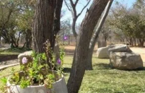 Maatskappy 7 beeld WILDE AVONTUUR Waterberg Biosphere in Vaalwater LP