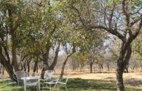 Maatskappy 8 beeld WILDE AVONTUUR Waterberg Biosphere in Vaalwater LP