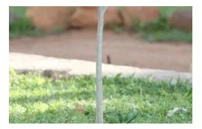 Maatskappy 9 beeld WILDE AVONTUUR Waterberg Biosphere in Vaalwater LP