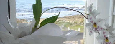 Maatskappy 5 beeld 138 MARINE BEACHFRONT GUESTHOUSE Luxury Guest Houses in Hermanus WC