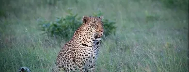 Maatskappy 6 beeld AFRICAN SAFARI GROUP Travel Agents in Cape Town WC