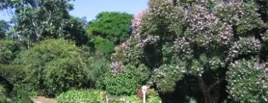 Maatskappy 8 beeld BUTTERSCOTCH B&B Wifi in Durban KZN