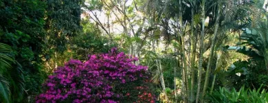 Maatskappy 11 beeld BUTTERSCOTCH B&B Wifi in Durban KZN