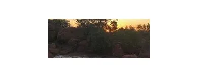 Maatskappy 3 beeld CAMPSITE VENUES Swimming in Pretoria GP
