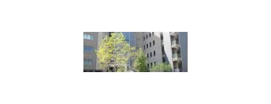 Business 6 image CAPITAL ALLOWANCES SPECIALISTS Tax Consultants in Cape Town WC