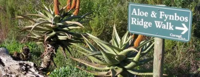 Maatskappy 1 beeld CARMEL COASTAL RETREAT - A CHRISTIAN HOLIDAY AND CONFERENCE CENTRE Self Catering in George WC