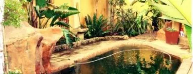 Maatskappy 3 beeld CASA VELHA GUESTHOUSE Undercover Patio in Benoni GP