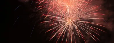 Maatskappy 1 beeld CHINA FIREWORKS Fireworks in Johannesburg GP