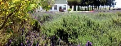 Maatskappy 6 beeld CHRISTIAN RETREAT Worcester in Worcester WC