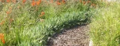Maatskappy 3 beeld CREATE A LANDSCAPE Water Features in Johannesburg GP
