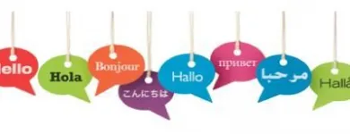 Business 1 image DILINGUA LANGUAGE SERVICES Website Content in Cape Town WC