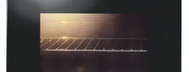 Business 3 image FATHER AND SONS AUTO Slush Machine in Randburg GP