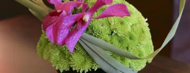 Business 2 image FRANZ GRABE FLOWER COUTURE CC Flowers in Randburg GP