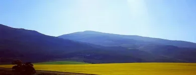 Maatskappy 2 beeld KELKIEWYN GUESTHOUSE CALEDON Self Catering Accommodation in Caledon WC
