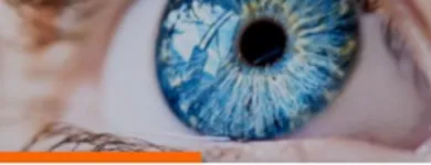 Maatskappy 9 beeld OPTISPEC optometrist near me in Boksburg GP