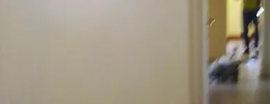 Business 1 image PAINTING & RENOVATIONS/SAMTELPORCUPINE Waterproofing in Johannesburg South GP