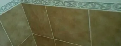 Business 4 image PINKY & THE STAIN PROFESSIONAL CARPET CLEANERS Upholstery cleaners in KZN in Port Elizabeth EC