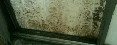 Business 7 image PINKY & THE STAIN PROFESSIONAL CARPET CLEANERS Upholstery cleaners in KZN in Port Elizabeth EC